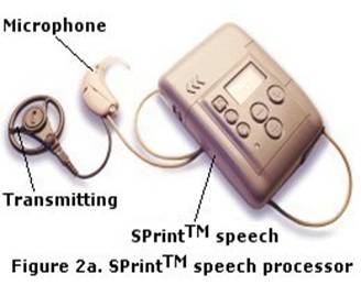 cicfigure2a