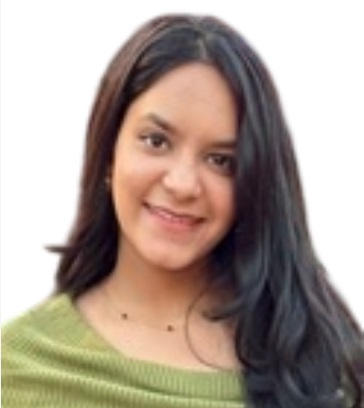 previous not avaliable